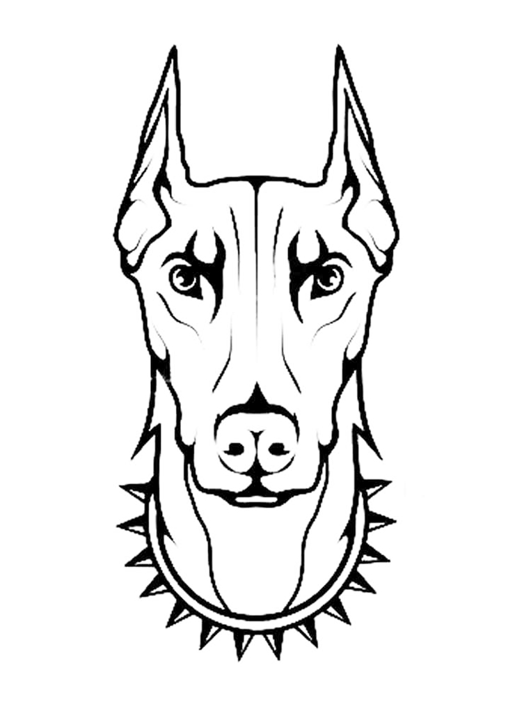 Dobermann coloring pages