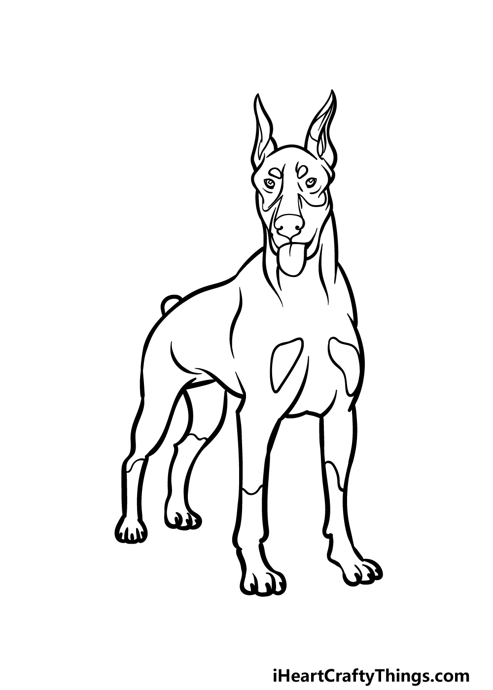 Dobermann drawing