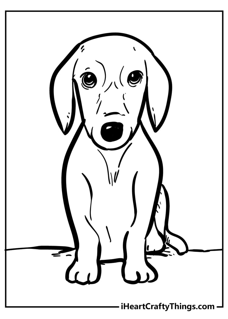 Dog coloring pages free printables