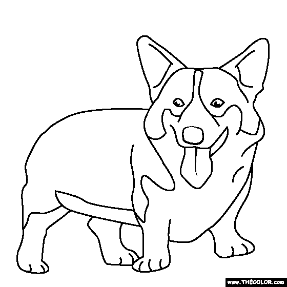 Welsh corgi coloring page