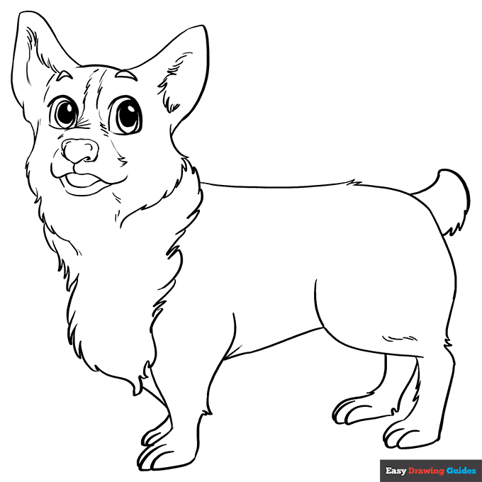 Corgi coloring page easy drawing guides