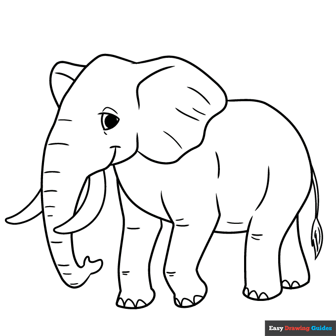 Elephant coloring page easy drawing guides