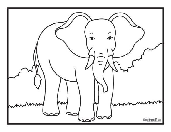 Printable elephant coloring pages â sheets