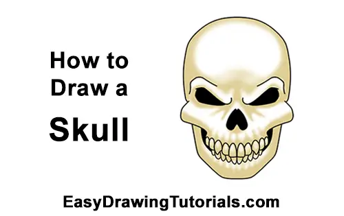 How to draw a skull for halloween