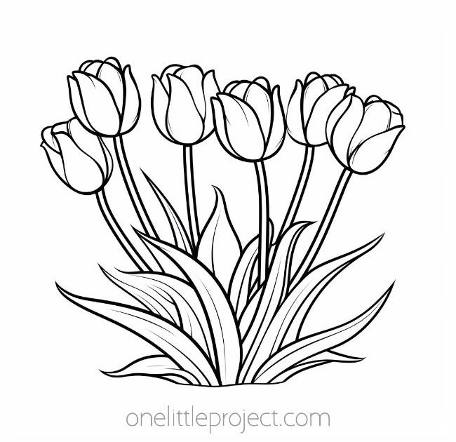 Flower coloring pages free printable flower coloring sheets