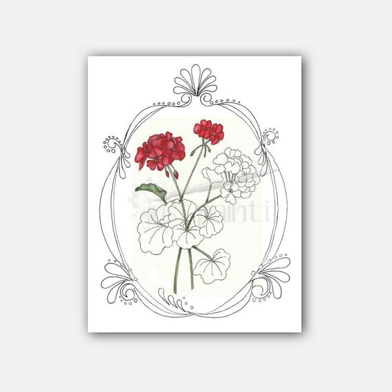 Geraniums coloring page flower coloring page instant download