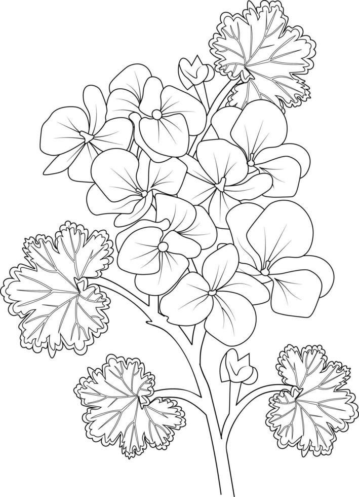 Coloring pages for adults hand