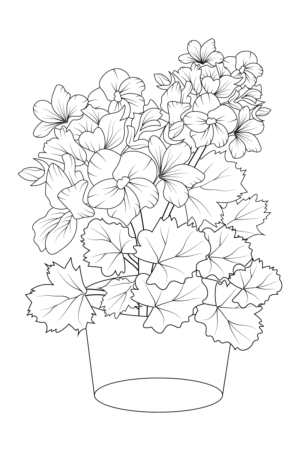 Vintage geranium botanical illustration easy geranium flower drawing outline geranium drawing geranium flower pencil art botanical illustratioin flower coloring page for adults