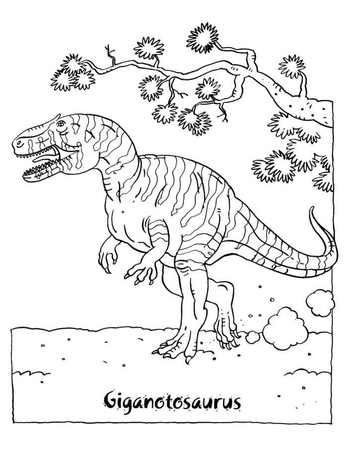 Giganotosaurus coloring page dinosaur coloring pages dinosaur coloring animal coloring pages