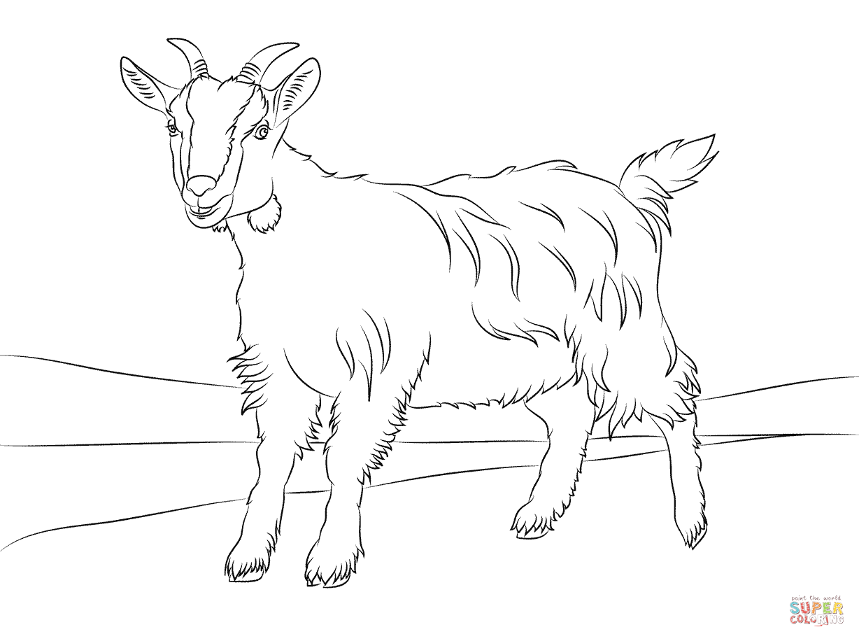 Cute goat coloring page free printable coloring pages