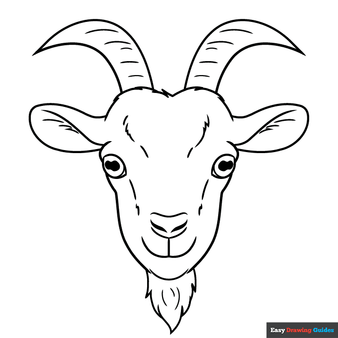 Goat face coloring page easy drawing guides