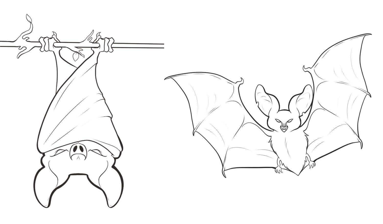 Bat hanging upside down coloring page bat coloring pages animal coloring pages coloring pages