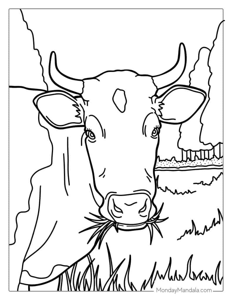 Cow coloring pages free pdf printables