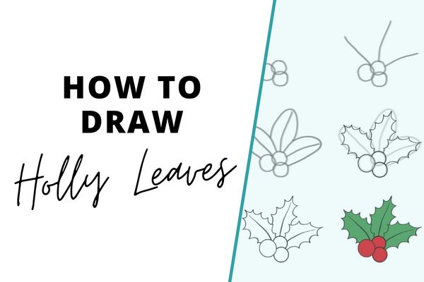 How to draw holly leaves