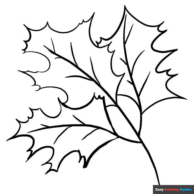 Fall oak leaves coloring page easy drawing guides