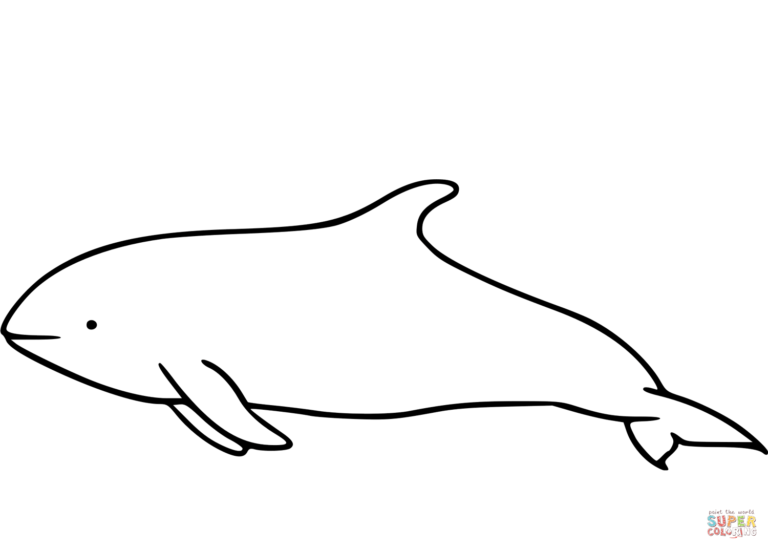 Hourglass dolphin coloring page free printable coloring pages