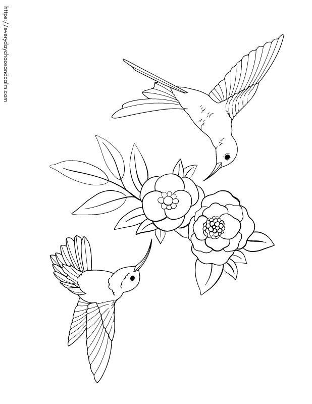 Free hummingbird coloring pages for kids