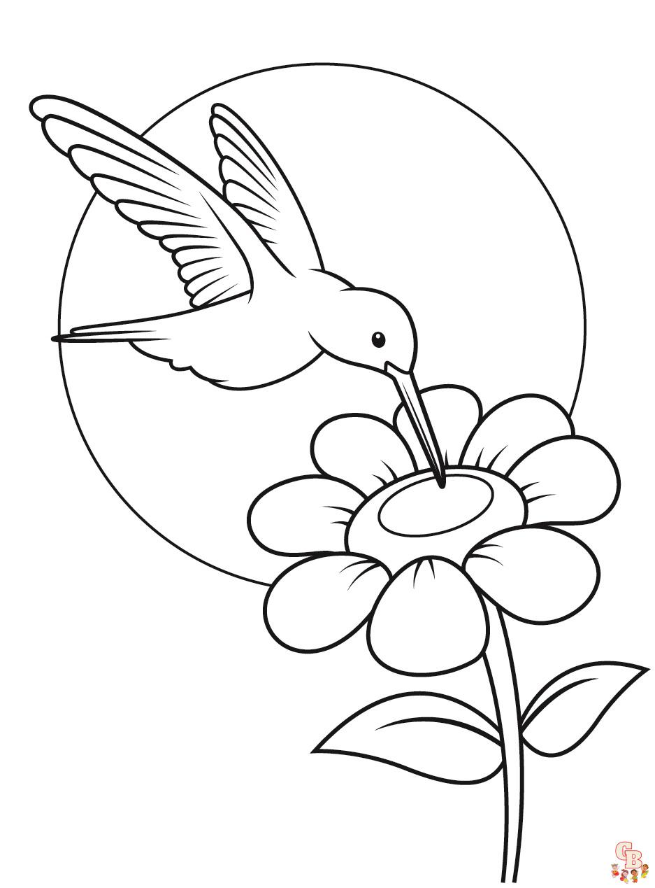 Hummingbird coloring pages