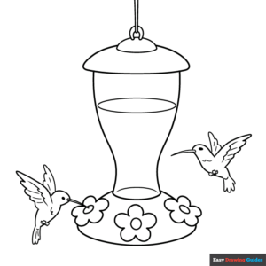 Hummingbird feeder coloring page easy drawing guides