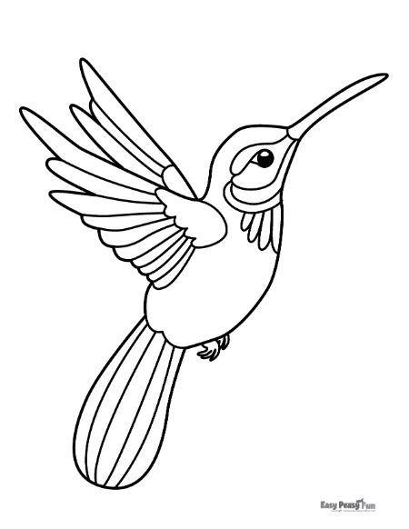 Printable bird coloring pages