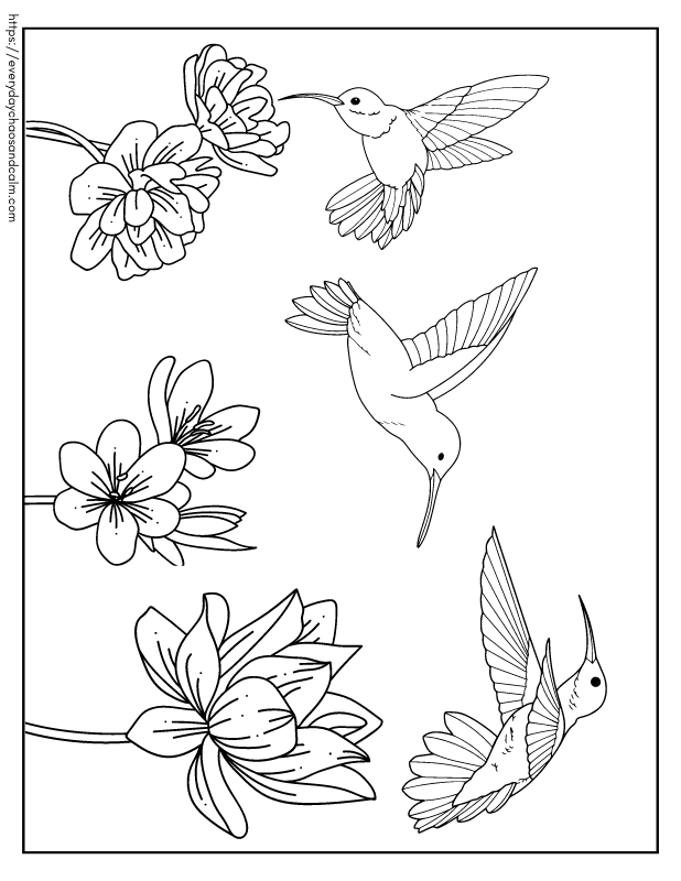 Free hummingbird coloring pages for kids