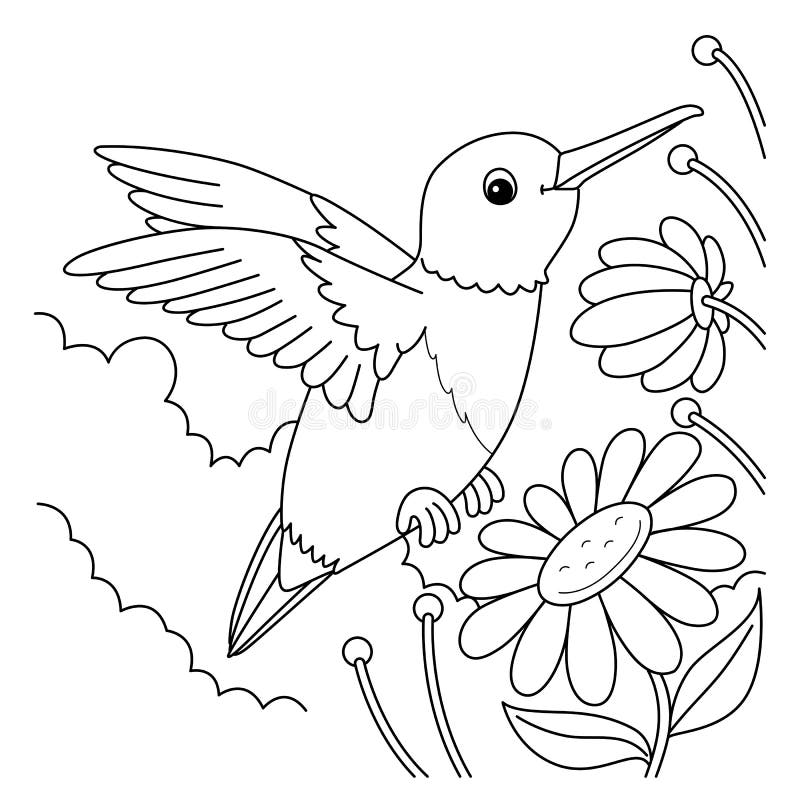 Hummingbird animal coloring page for kids stock vector