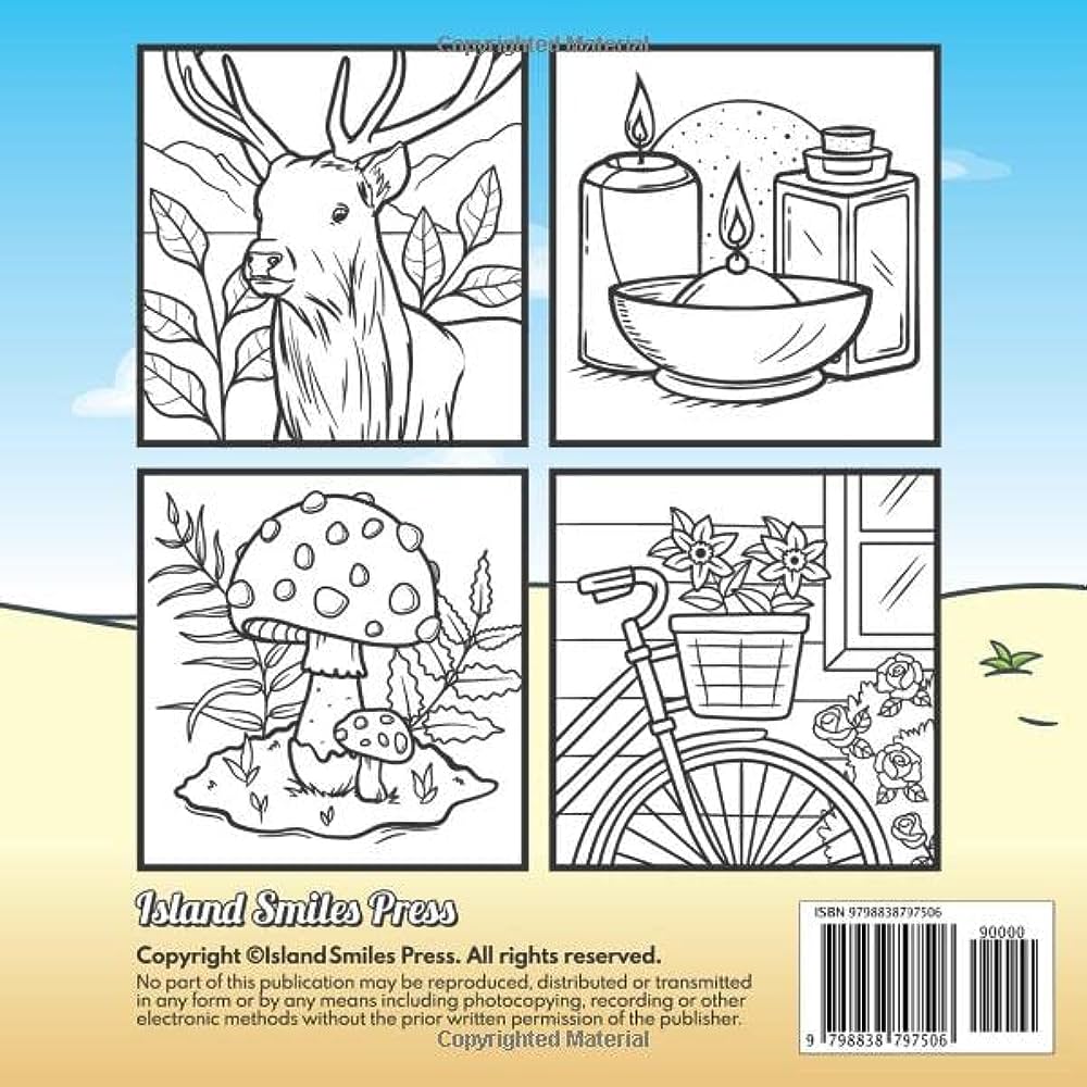 Bold and easy large print coloring book big and simple designs for adults seniors and beginners animals flowers food still life mandalas and more press islandsmiles books