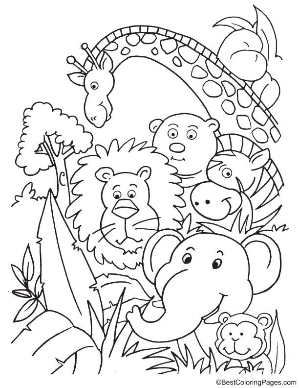 Party in jungle coloring page download free party in jungle coloring page for kids jungle coloring pages animal coloring pages coloring pages for boys