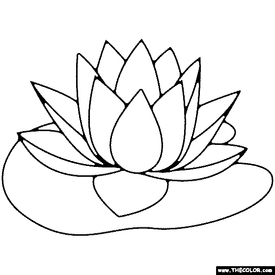 Lily pad coloring page