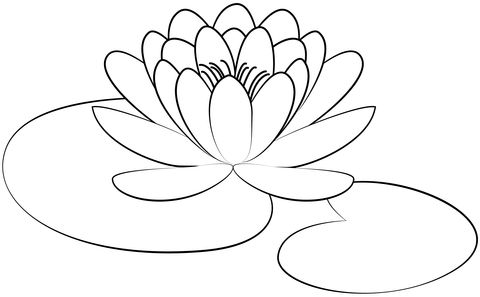 Lily pad coloring pages free coloring pages