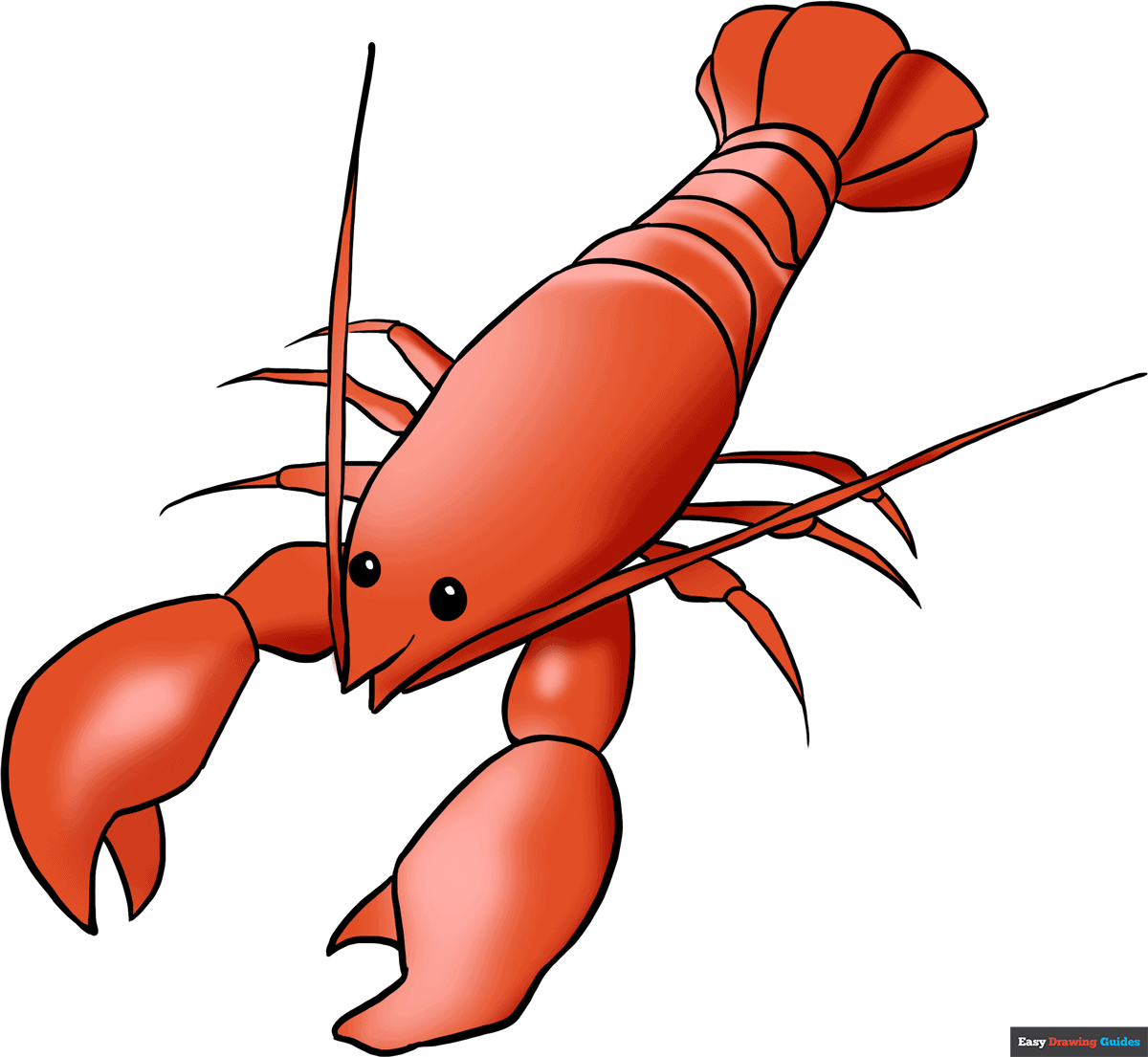 How to draw a lobster