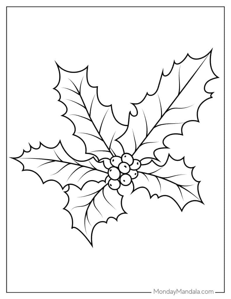 Mistletoe coloring pages free pdf printables