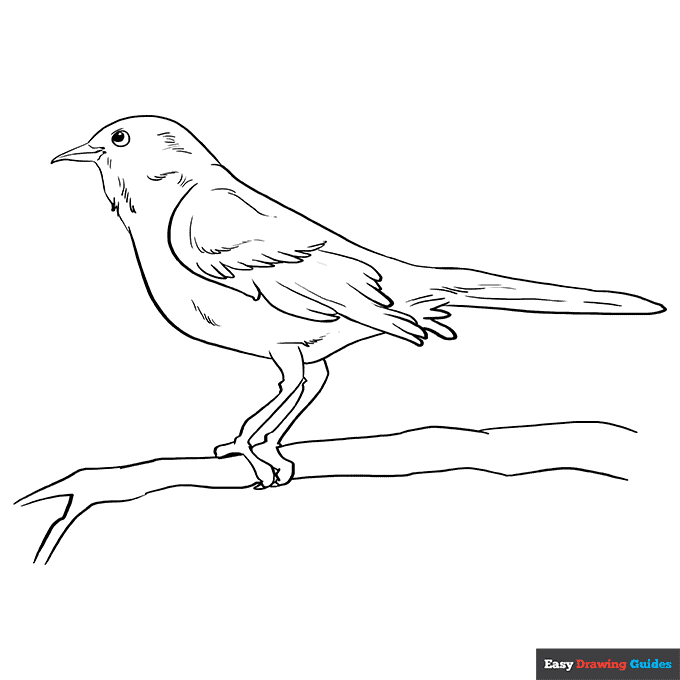 Mockingbird coloring page easy drawing guides