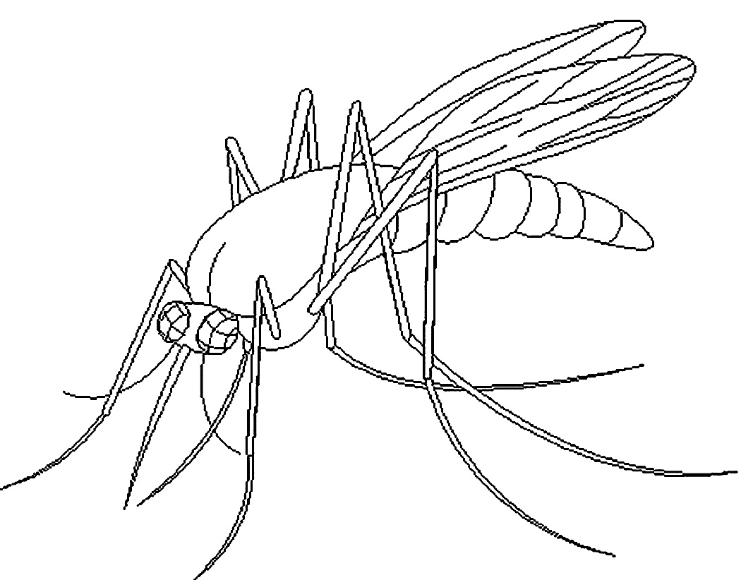 Free printable mosquito coloring pages for kids