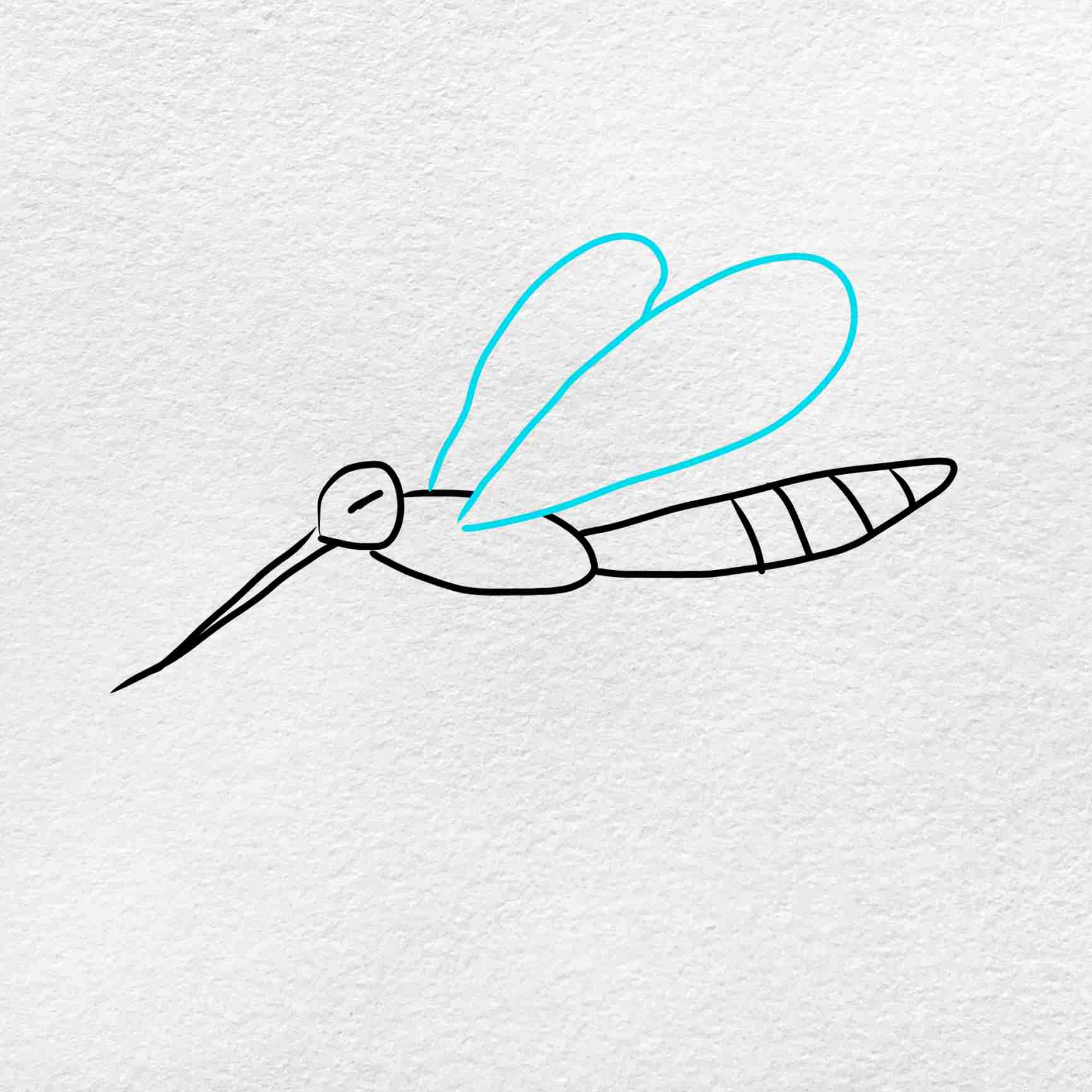 How to draw a mosquito