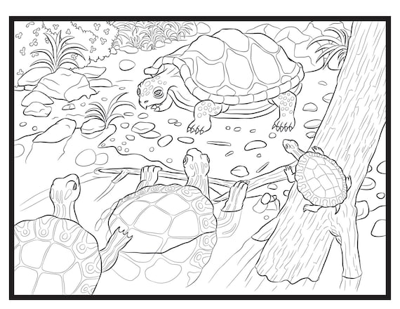 Turtles single coloring page