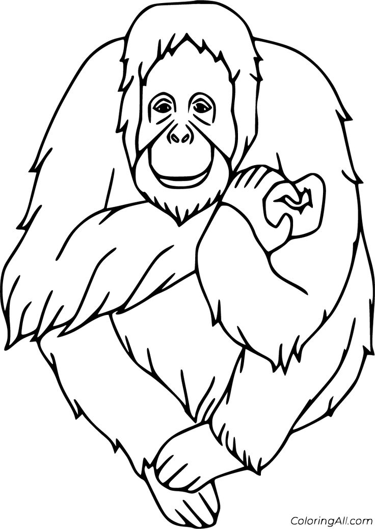 Free printable orangutan coloring pages easy to print from any device and automatically fit any paper size orangutan coloring pages baby orangutan