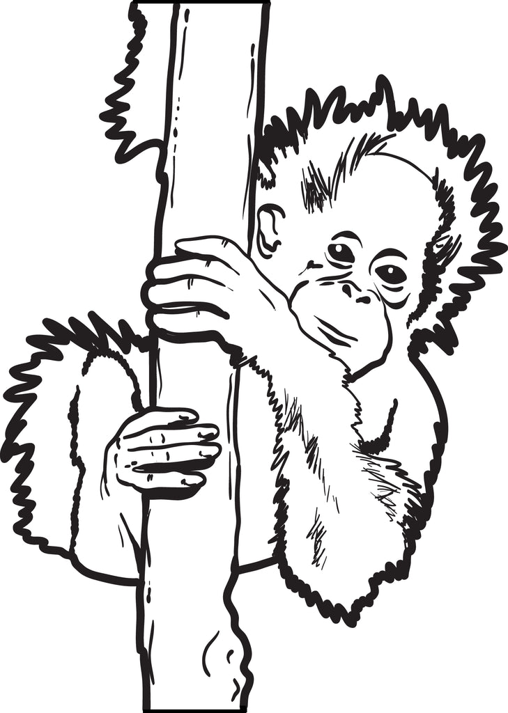 Printable baby orangutan coloring page for kids â