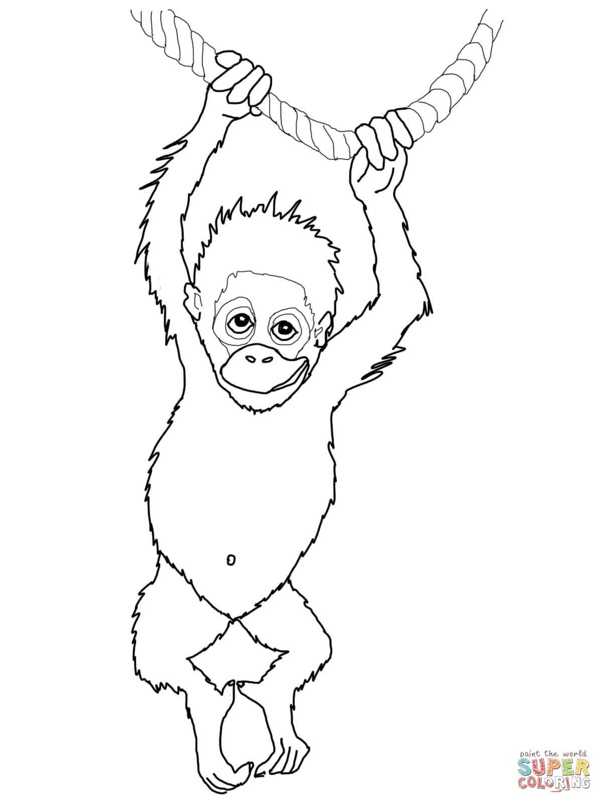 Baby orangutan coloring page from orangutans category select from printable craftsâ animal coloring pages zebra coloring pages farm animal coloring pages