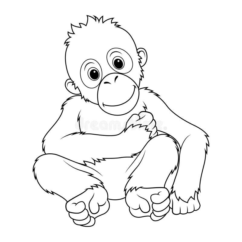 Coloring orangutan stock illustrations â coloring orangutan stock illustrations vectors clipart