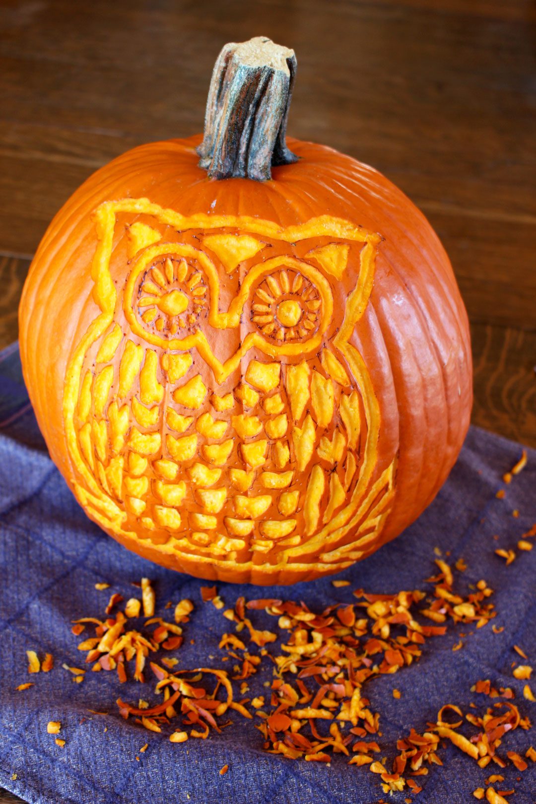 Woodland owl pumpkin carving deluxe