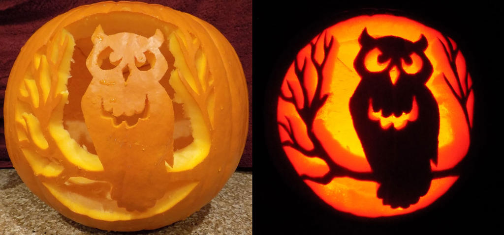 Owl pumpkin carving by jadewik on