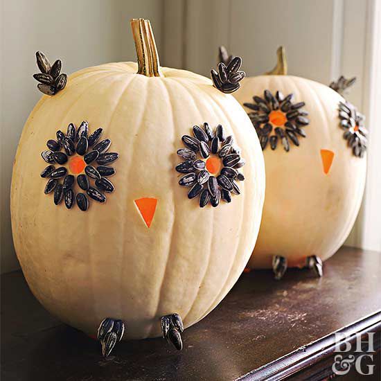 Try this easy owl pumpkin carving project for halloween