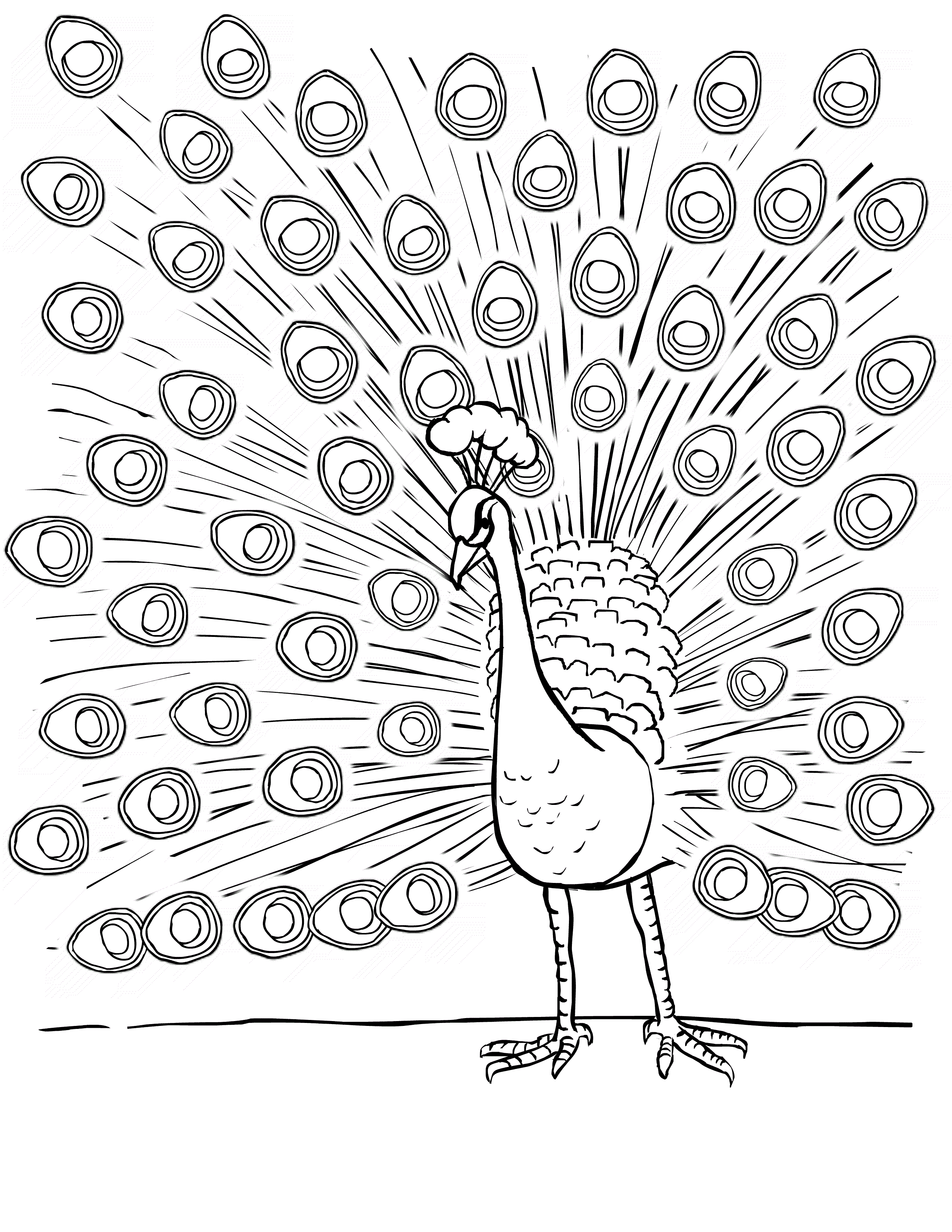 Free printable peacock coloring pages for kids