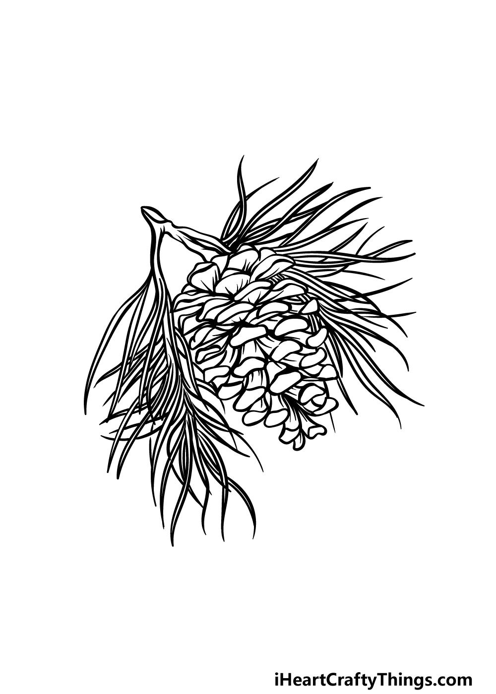 Pinecone drawing