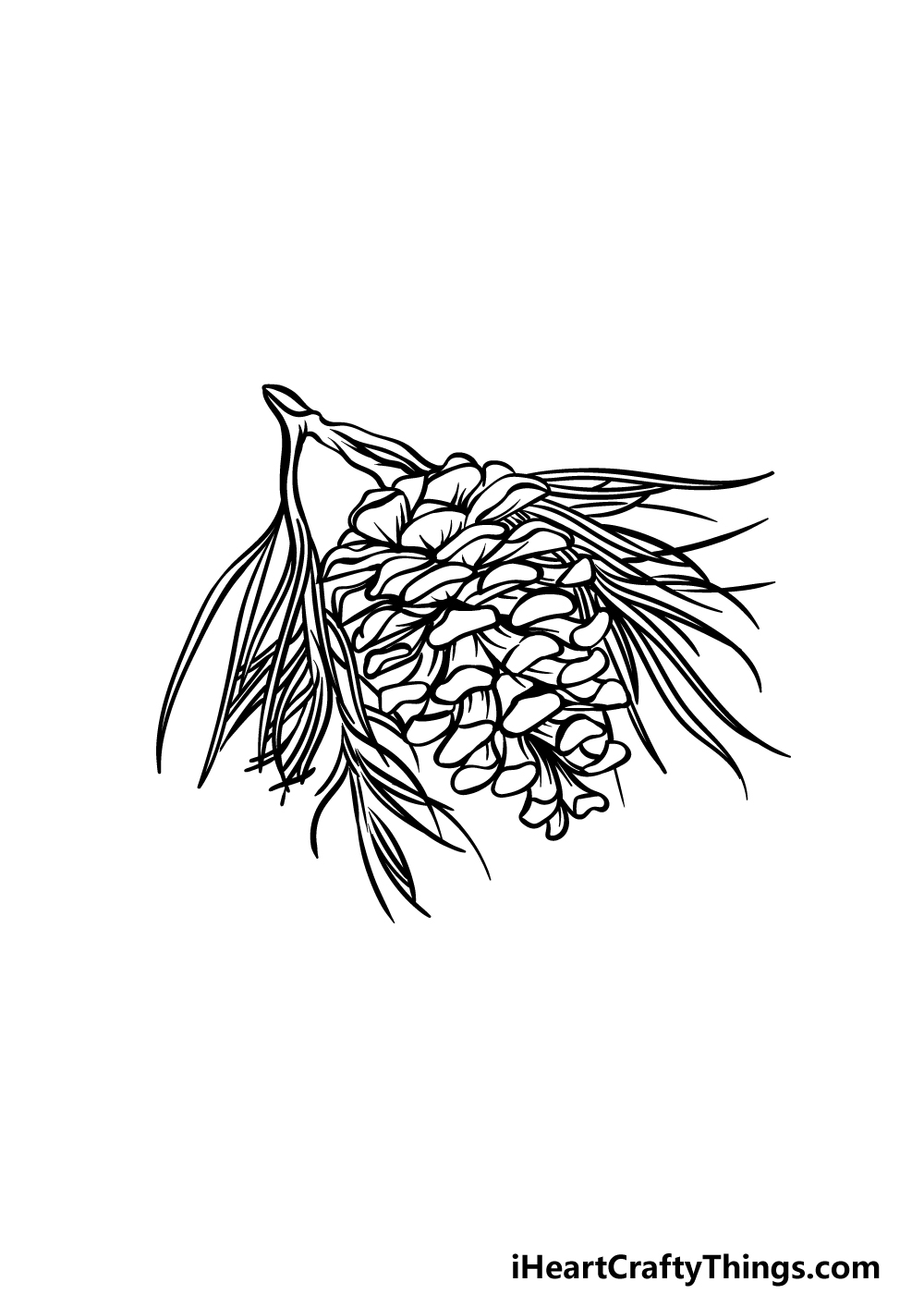 Pinecone drawing