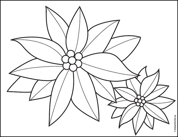 Easy how to draw a poinsettia tutorial poinsettia coloring page