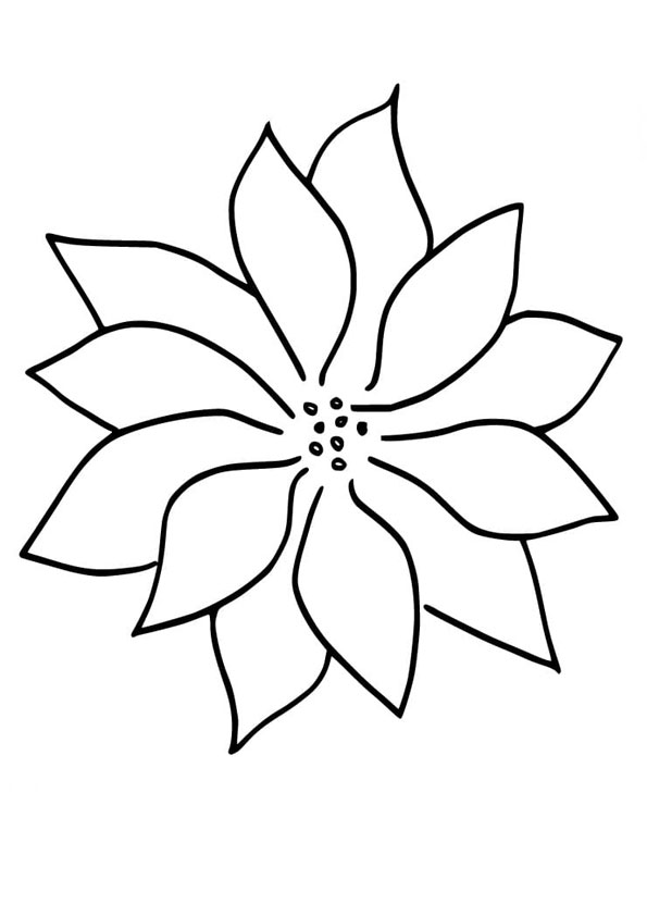 Coloring pages poinsettia flower coloring pages for kids