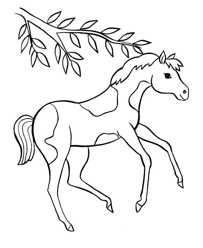 Pony coloring pages