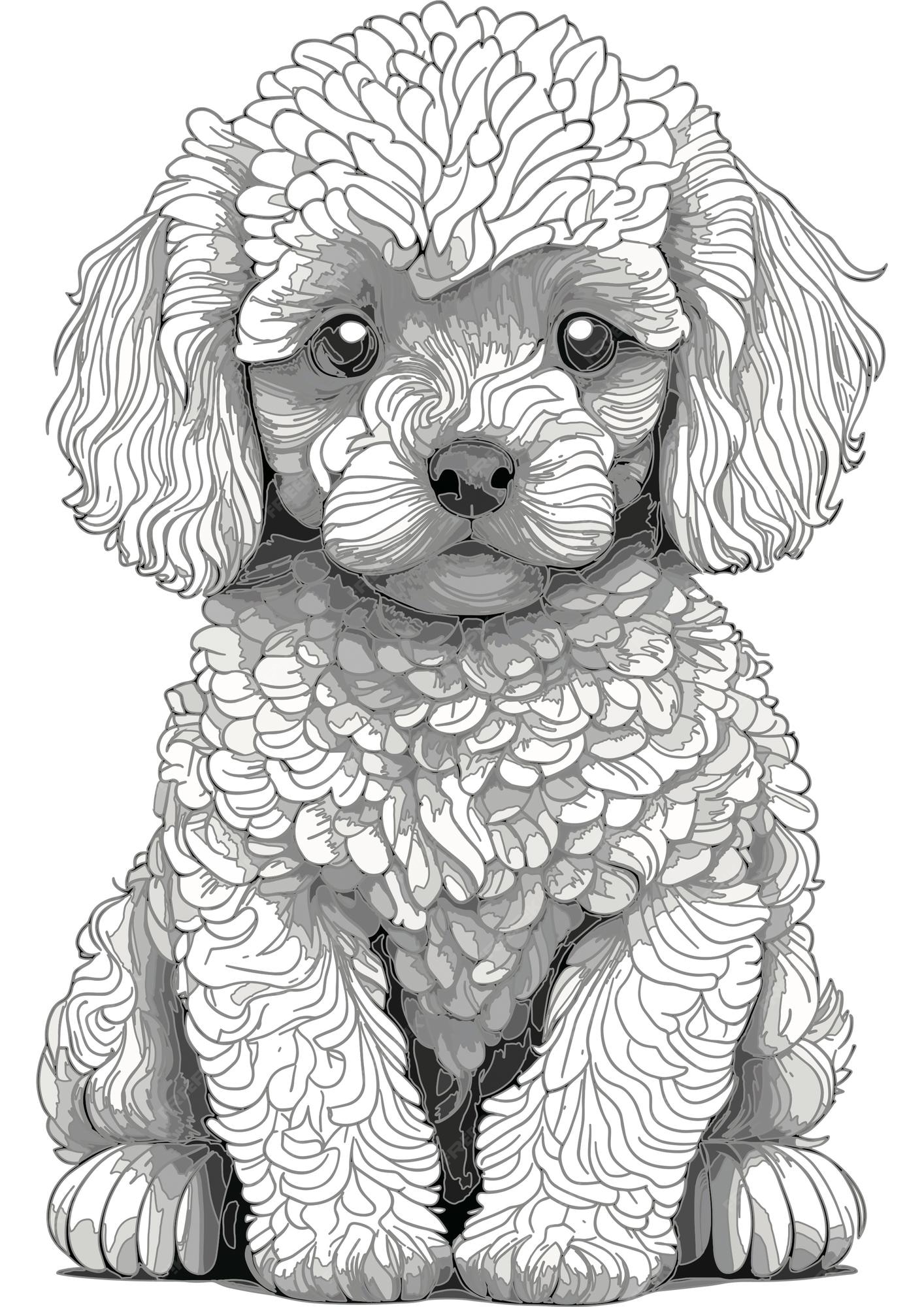 Premium vector vector dog outline coloring page coloring book illustration poodle